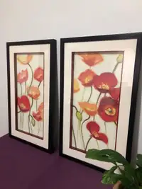17”x29” Beautiful 2-Pack Floral Art  Picture Glass Frames