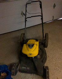 Gas Lawnmower with Bag