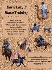 Horse Training & Consignment Services 