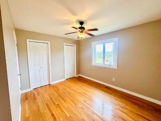 Detached House for Rent in Long Term Rentals in Dartmouth - Image 4