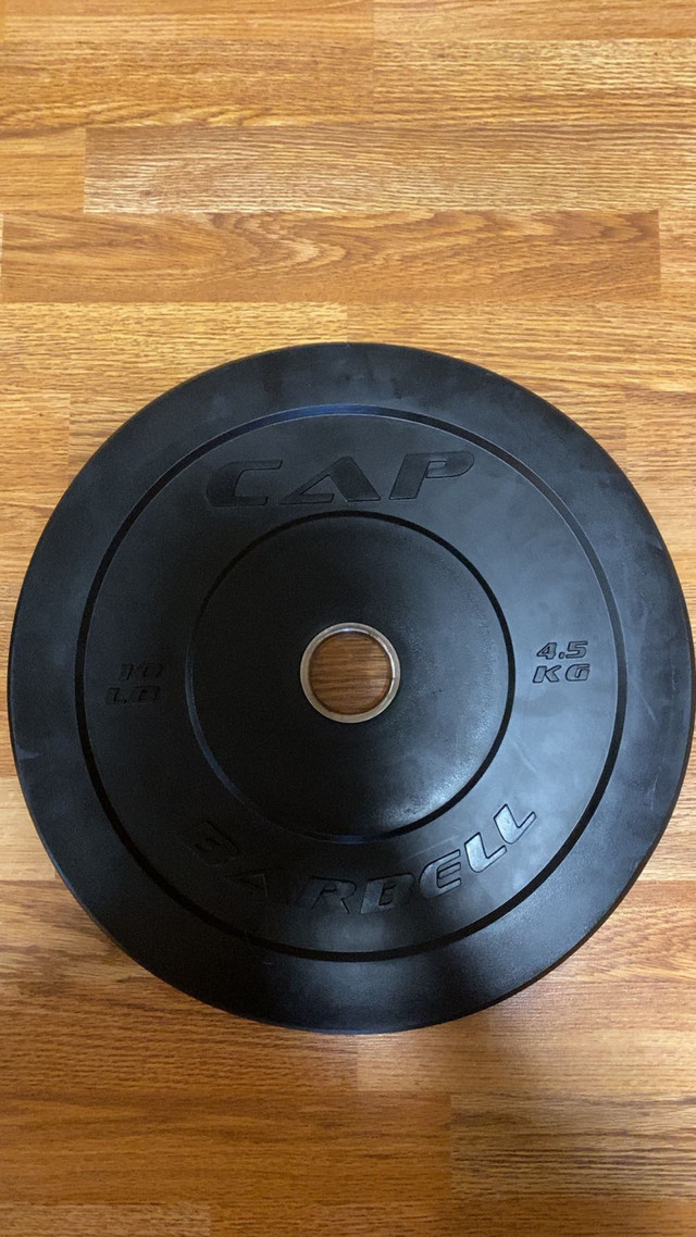 2x25lb Bumper Plate in Other in Ottawa - Image 3