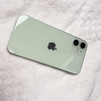 iPhone 12 mini (unlocked) white and green