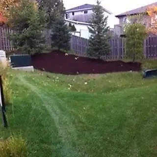 Yard Work Grass Cutting447398231178618882