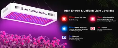 KOSCHEAL 2000 Watt Grow Light, View more