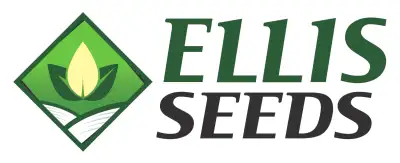 Seasonal Grain Yard Operator, View more