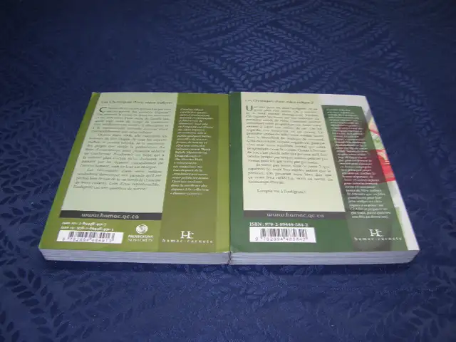 Ensemble de 2 Livre Chronique d'une Mère Indigne # 1 & 2 - Carol in Non-fiction in Québec City - Image 3