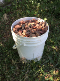 Free red shale gravel rock