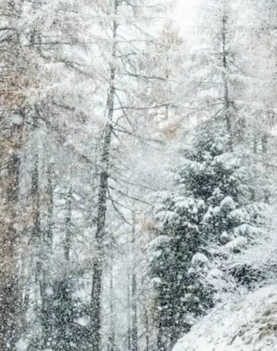 Snow removed , View more