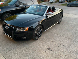 2010 Audi S5