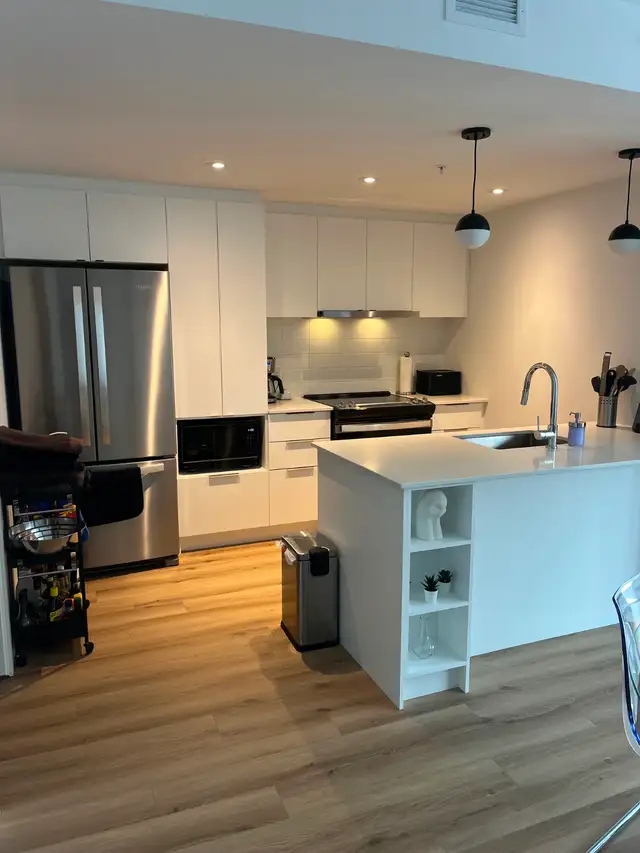 4 1/2 Mercier-Hochelaga Maisonneuve in Long Term Rentals in City of Montréal - Image 3