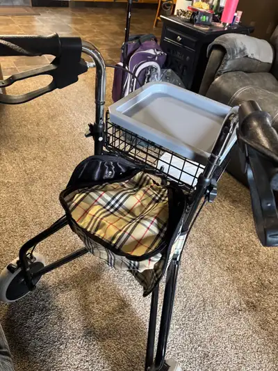 new shopping cart walker, View more