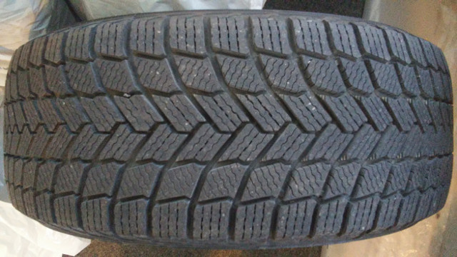 Winter Tires 215/55R/16 compatible to 2014 Ford Focus in Tires & Rims in Muskoka - Image 2