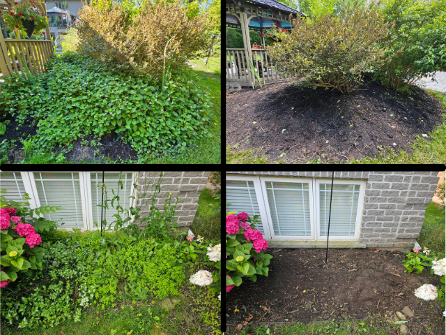 Hamilton Area Landscaping - Gardening - Mulching Weeding & More! in Other in Hamilton - Image 5