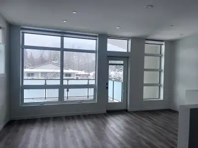 Newly built 2 bedroom 2 bathroom townhouse for rent. Full kitchen, 2 full bathrooms, washer/dryer in...