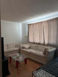 1 bedroom available in a 3 bedroom house - Lease starting July 1
