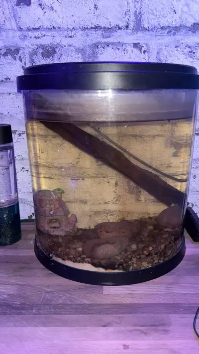 3 gallon fish tank , View more
