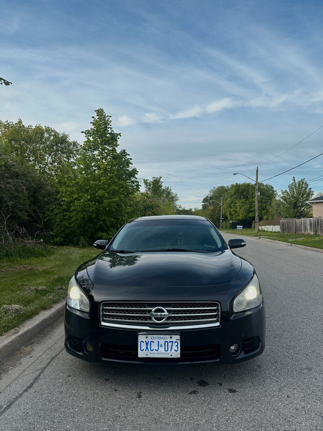 2010 Nissan Maxima V6 | Black on Black | Reliable & Sporty in Cars & Trucks in City of Toronto - Image 3