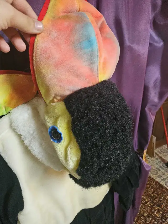 Costume Pingouin pour enfant 6-7 ans in Costumes in Sherbrooke - Image 6