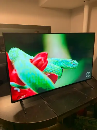There is dead pixels. Check the pictures to see it. On a live screen, they aren't visible as you can...