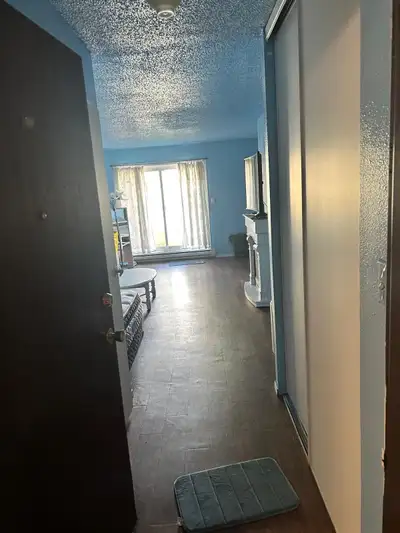 Fully furnished 2-bedroom apartment with an extra den/room ️ Comfortable living room with electric f...