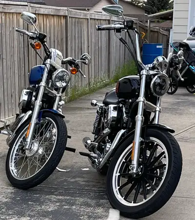 2009 Harley Davidson sportster 1200 XL Selling two different bikes, 1200XL low and the 1200XL Custom...