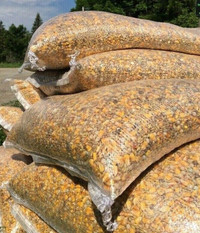 PIGEON FEED SEED FOR SALE $45 Pickering