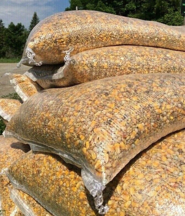 PIGEON FEED SEED FOR SALE $45 Pickering in Livestock in City of Toronto