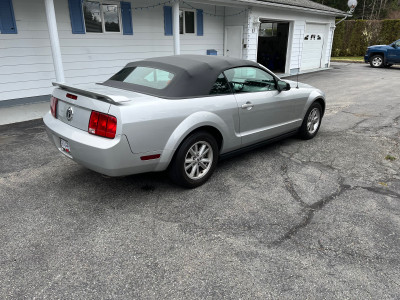 Mustang convertible 