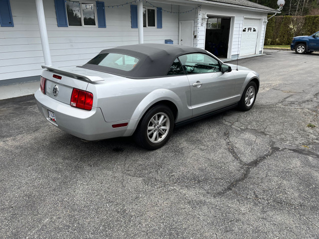 Mustang convertible  in Cars & Trucks in Kitimat