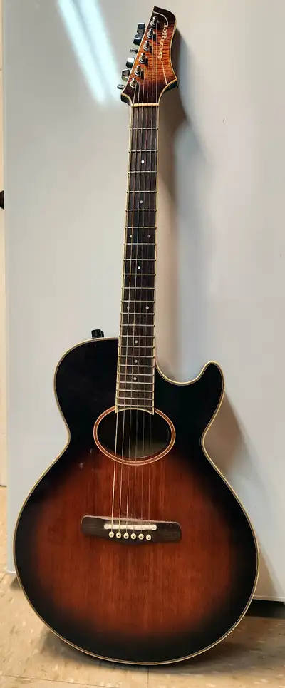 Vantage Acoustic Electric Guitar-AV-SCEDWL, View more