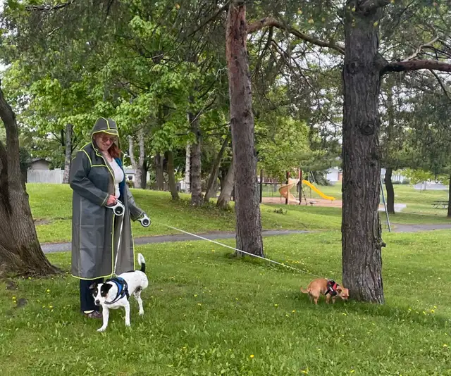 pet sitter/dog walker in Animal & Pet Services in Ottawa - Image 8