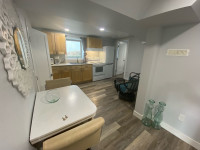 Downtown 1 bdrm, fully-furnished. Laundry, utilities & wifi.