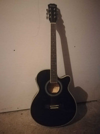 electric acoustic guitar