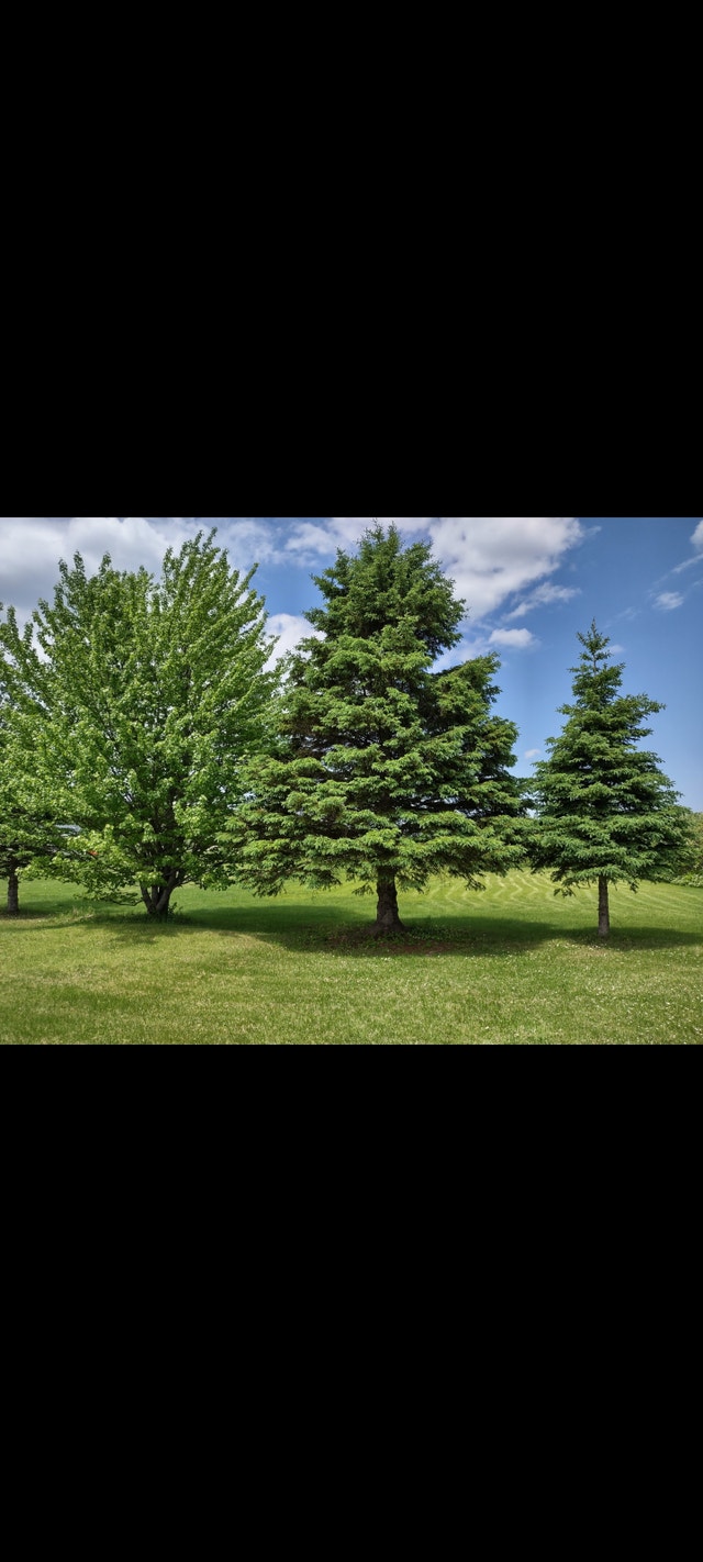 Terrain a vendre — photo 2