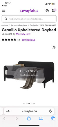 Wayfair Day Bed