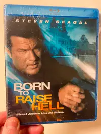 Film d'action! Blu-ray ( NEUF & SCELLÉ ) Avec Steven Seagal!