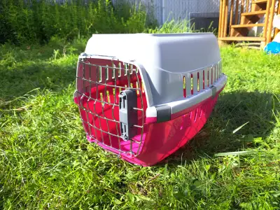 Cage transport chat, rongeurs (lapin, Guinea pig), petit chien, View more