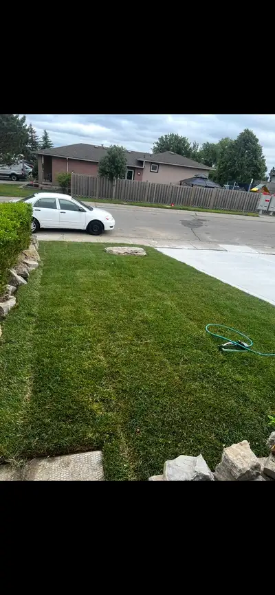 Beautiful 3 bedroom upper level house for rent available from May 1. One washroom with seprate laund...