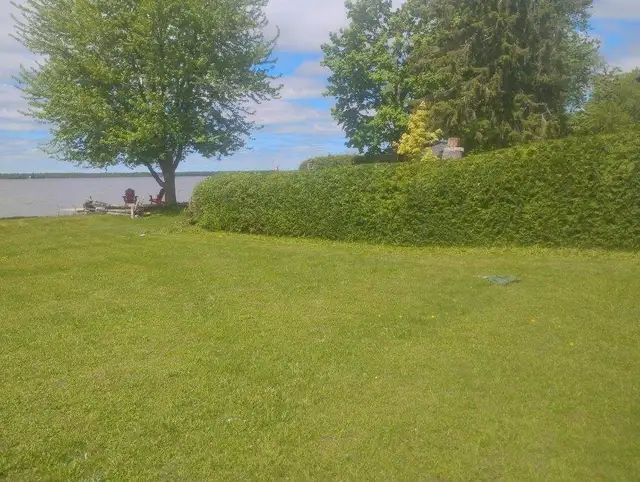 Professional hedge trimming and tree services628643583230731227