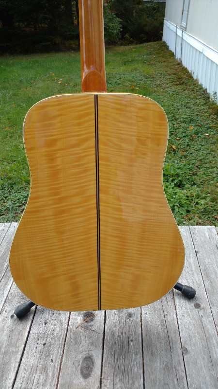 VINTAGE PAN GUITAR AND HARD CASE in Guitars in Annapolis Valley - Image 3
