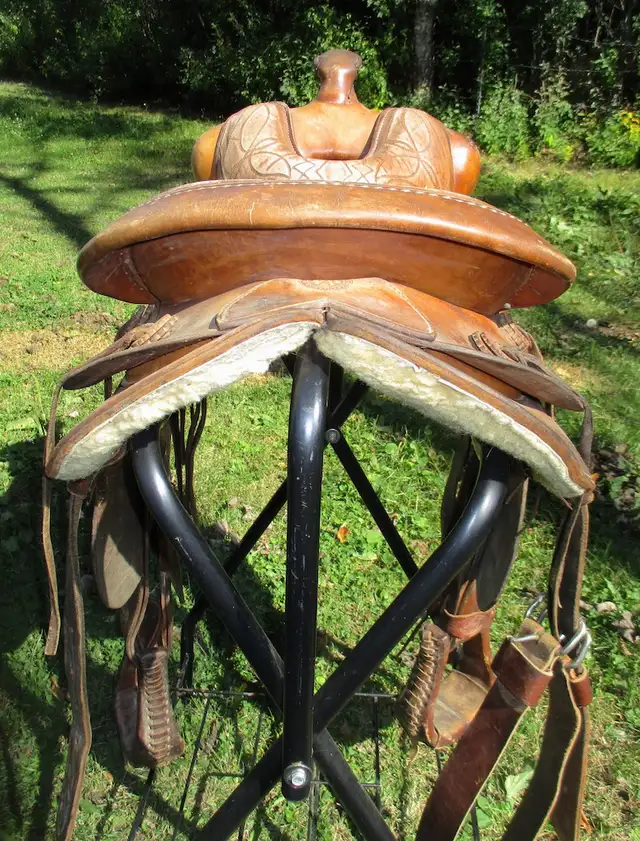 15" Bona Allen saddle, made in USA in Equestrian & Livestock Accessories in Dawson Creek - Image 5
