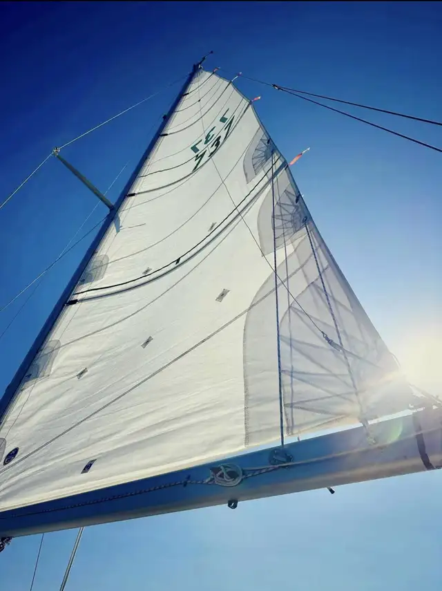 Beautiful 30’ C&C Sailboat  in Sailboats in Victoria - Image 9