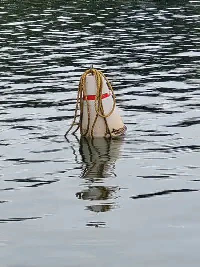 No dock? Use a buoy! No more banging against a dock or shore! Let it ride smoothly. Includes buoy wi...