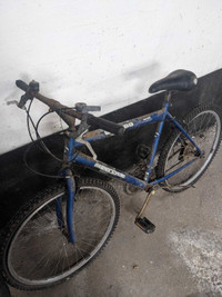 Junk Bike for the parts