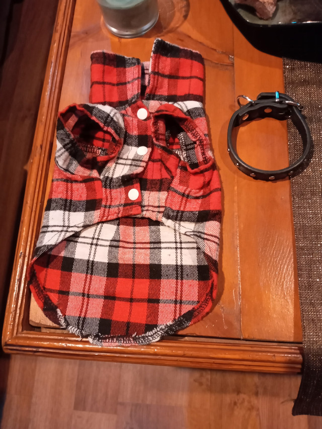 Chemise et collier XS pour petit chien dans Autre  à Laval/Rive Nord