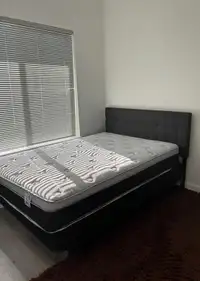 Brand new bed and mattress 