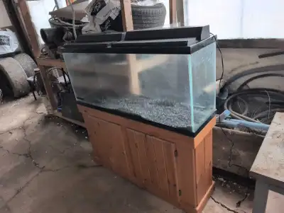 I have a 48 inch X 21H X 12 W aquarium with a wooden stand . Has black substrate .Comes with lights...