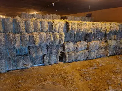 Small sqare hay bales for sale, mixed grass average weight 50 Lbs, stored inside of the ground. Put...