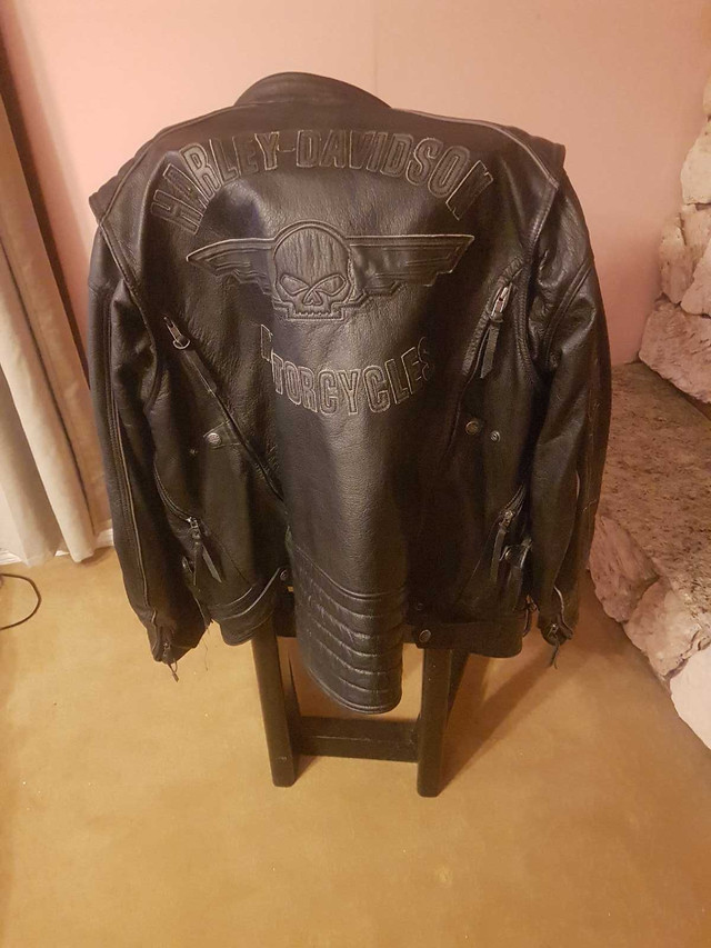 Harley Davidson Leather Jacket  in Other in Windsor Region