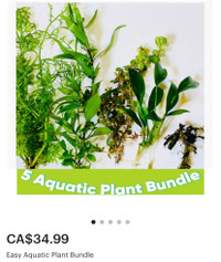 Aquatic plants bundle 
